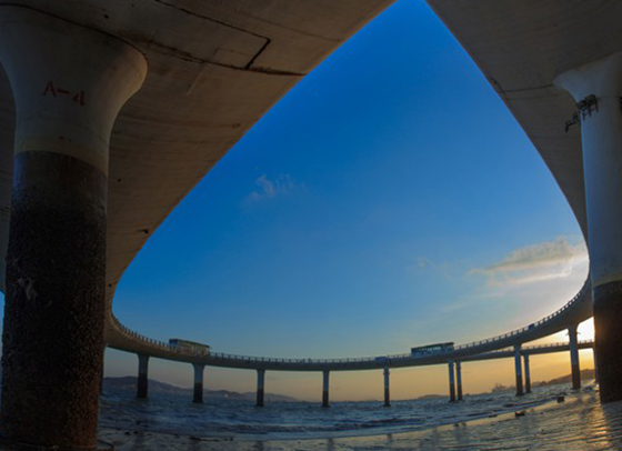 演武大橋觀景台